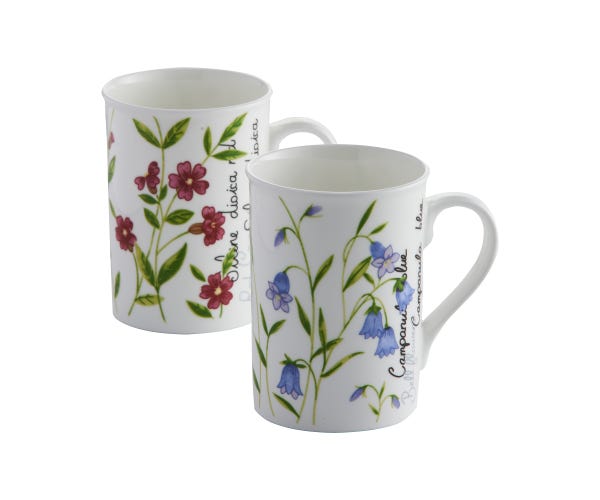 Botanical Assorted Fine China Mug 30cl X1 - KeansClaremorris