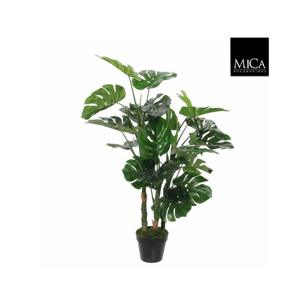 Monstera in pot green - h100xd75cm