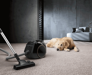 Miele Boost CX1 Boost Cat & Dog | 11666830