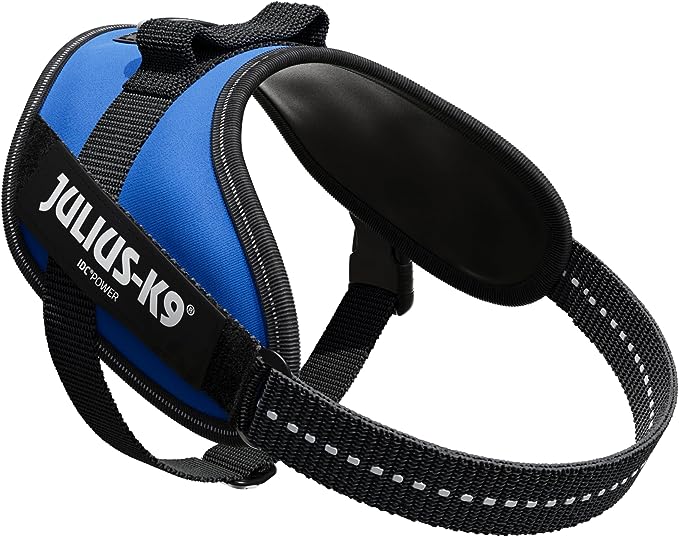 Julius K9 Mini Mini Powerharness Blue