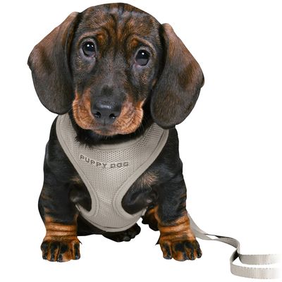 Junior Puppy S-M Grey Soft Harness with Lead