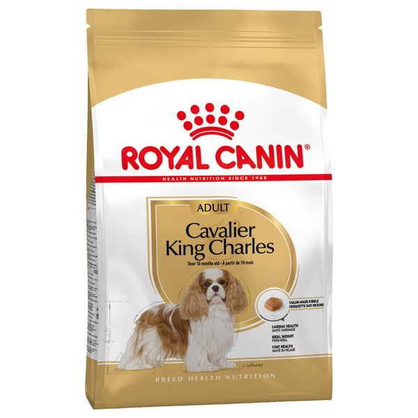 RC | Cavalier King Charles | Adult | 1.5kg