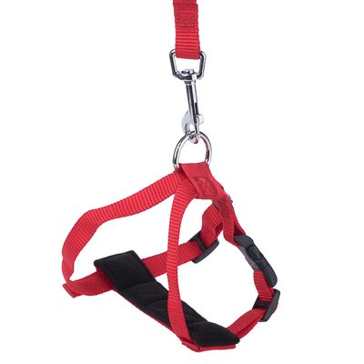 Car Harness for cats 20-50cm Red