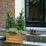 Load image into Gallery viewer, Allison pottable Christmas Tree W/ Micro LED BO indoor and outdoor H.90cm
