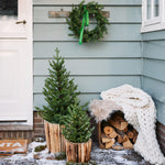 Load image into Gallery viewer, Allison pottable Christmas Tree W/ Micro LED BO indoor and outdoor H.90cm
