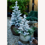 Load image into Gallery viewer, Allison pottable Christmas Tree  snowy W/Micro LED BO indoor n&#39; outdoor H.90cm
