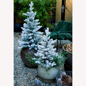 Allison pottable Christmas Tree  snowy W/Micro LED BO indoor n' outdoor H.90cm