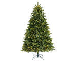 Load image into Gallery viewer, Freiburg pine w/ 600 nostalgic lights Christmas Tree H.210cm
