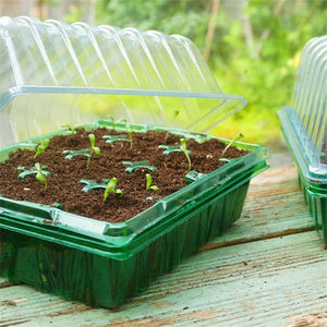 Gro-Sure Visiroot Twin Propagator Kit - KeansClaremorris