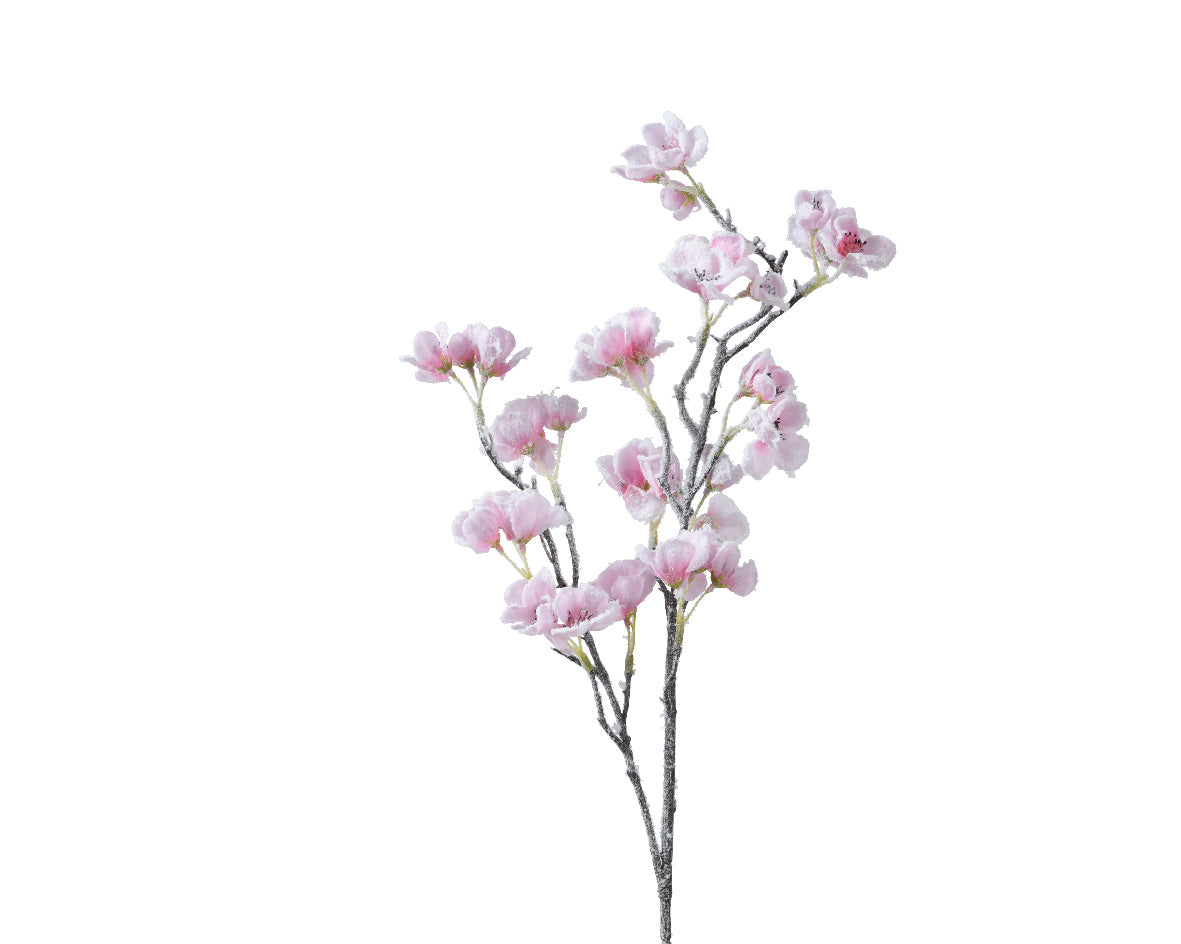 Pink cherry blossom spray on stem snow finish