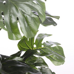 Monstera in plastic pot green - h140xd80cm