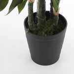 Load image into Gallery viewer, Monstera in plastic pot green - h140xd80cm
