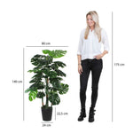 Load image into Gallery viewer, Monstera in plastic pot green - h140xd80cm
