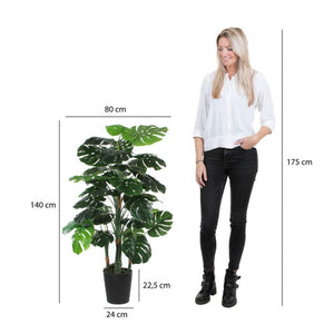 Monstera in plastic pot green - h140xd80cm