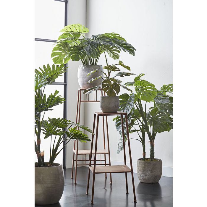 Monstera in plastic pot green - h140xd80cm