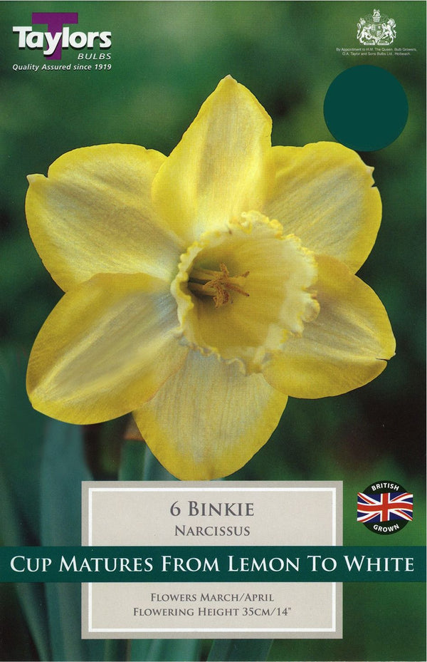 1.5 Kg Narcissus Binkie 12-14 CARRI PACK