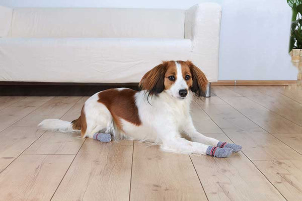 Dog Socks Non-Slip XS-S | 2pcs | Grey