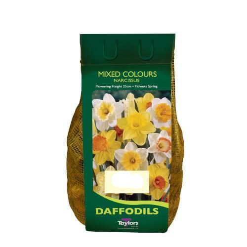 1.5 Kg Narcissus Mixed Colours 12-14 CARRI PACK