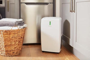 Dimplex 20L Dehumidifier | EVERDRI20EL | White/ Light Grey