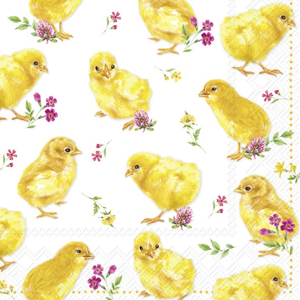 Chicks Easter Lunch Napkins - KeansClaremorris