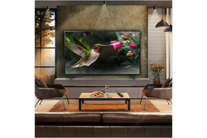 LG 65" B46 OLED 4K Smart TV | OLED65B46LA.AEK