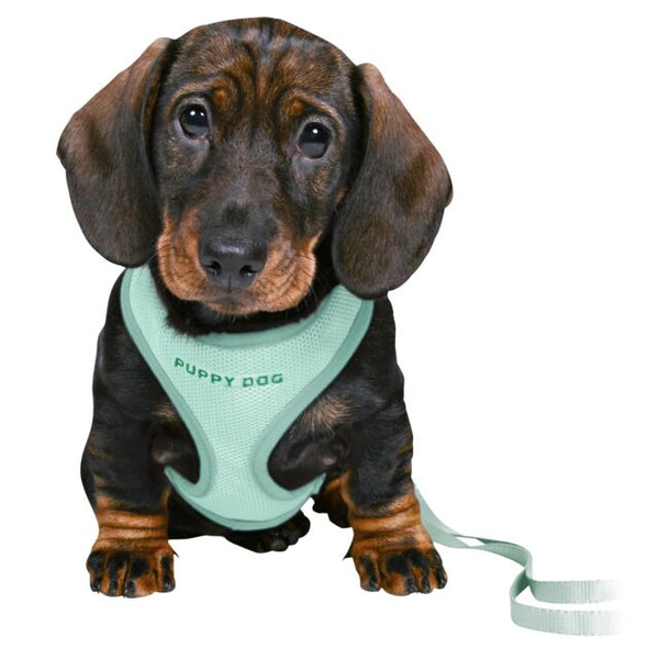 Junior Puppy Soft Harness With Leash Mint