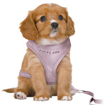 Load image into Gallery viewer, Junior Puppy Soft Harness With Leash Lilac
