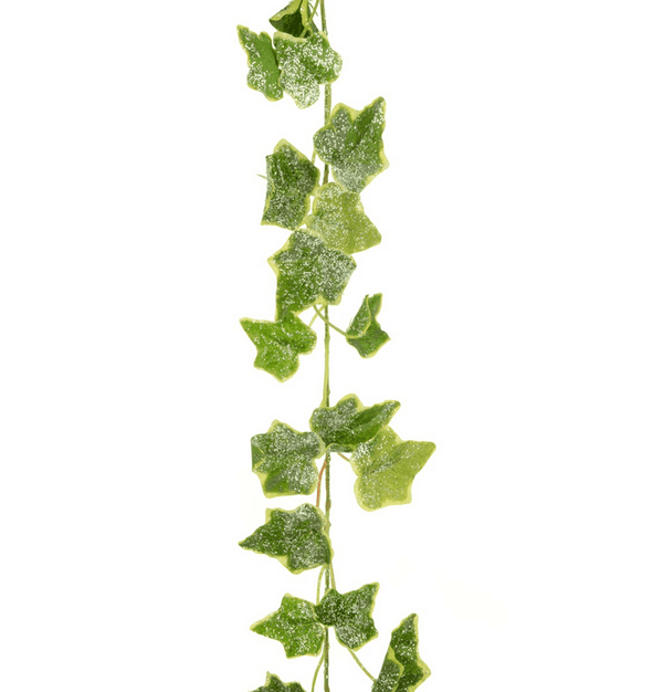 New Jack Frost Ivy Garland 150cm - KeansClaremorris