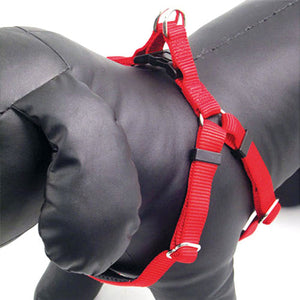 Padded Harness | Red | Medium