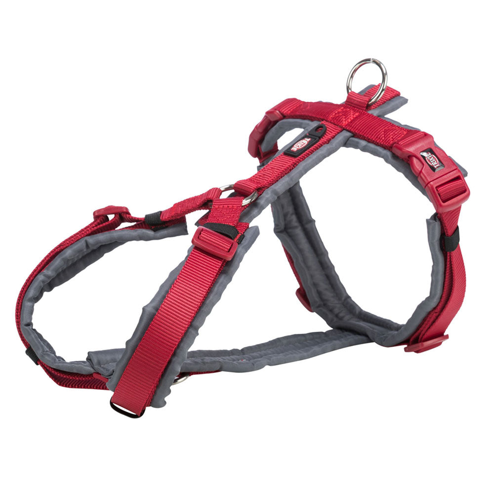 Premium Trekking Harness | Large | Red