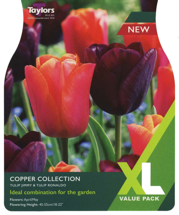 15 Tulip Copper Collection 11-12