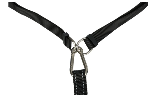 Waist Belt with Lead Red