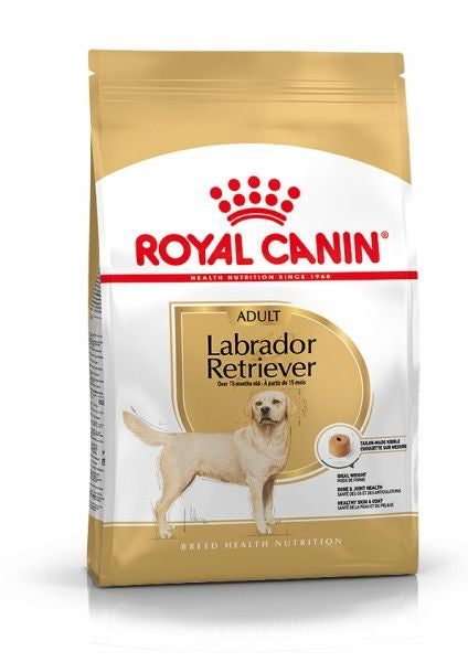 RC Labrador Retriever | Adult | 12kg