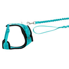 Mesh Y Cat Harness with lead