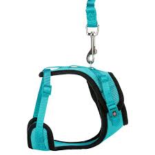 Mesh Y Cat Harness with lead