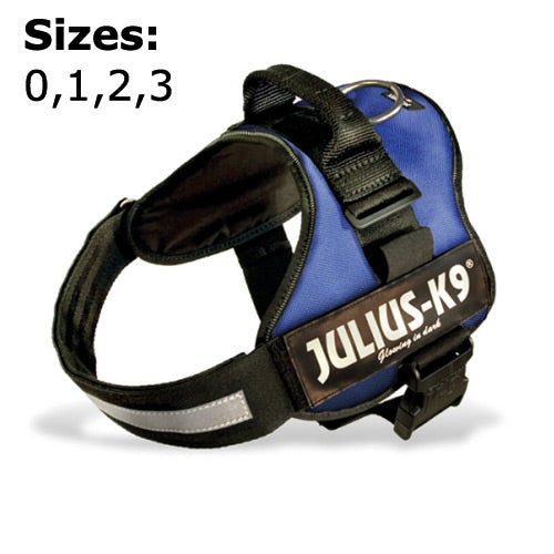 Julius-K9 | Baby 2 | Powerharness Blue