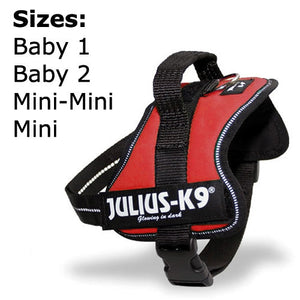 Julius-K9 | Mini Mini | Powerharness Red