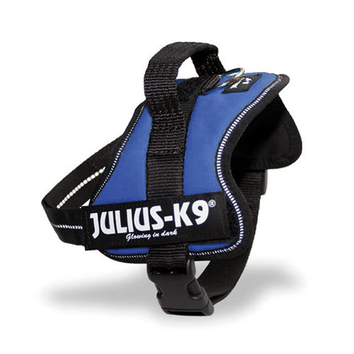 Julius-K9 | Mini | Powerharness Blue