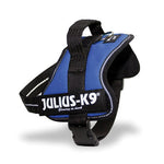 Load image into Gallery viewer, Julius-K9 | Baby 2 | Powerharness Blue
