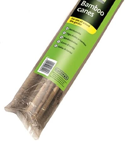 60Cm 2Ft Bamboo Pack 20 - KeansClaremorris
