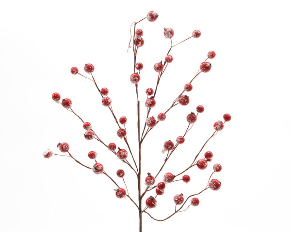 Spray foam snow berries - KeansClaremorris