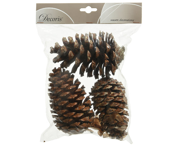 Pinecone natural - KeansClaremorris