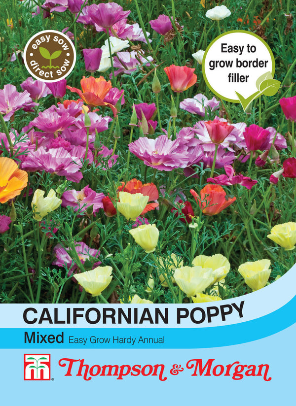 Californian Poppy Mixed S9-M5 - KeansClaremorris