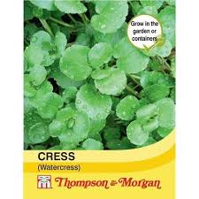 Cress (Watercress) - KeansClaremorris