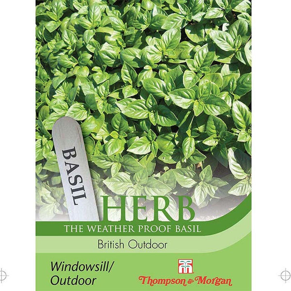 Herb Basil British Outdoor - KeansClaremorris