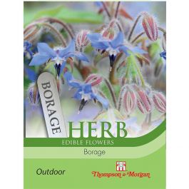 Herb Borage (Edible Flowers) - KeansClaremorris
