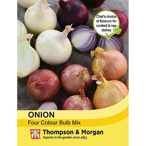 Onion Four Colour Bulb Mix - KeansClaremorris