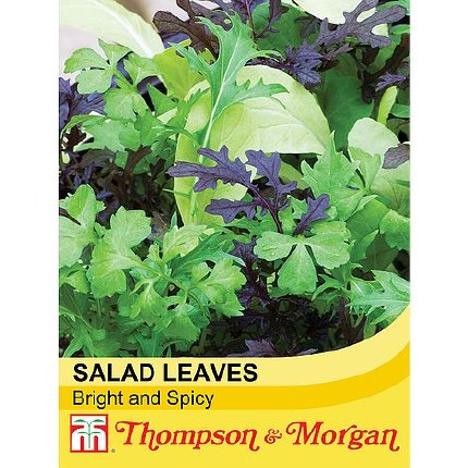 Salad Leaves Bright and Spicy - KeansClaremorris