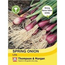 Spring Onion Lilia - KeansClaremorris