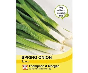 Spring Onion Totem - KeansClaremorris